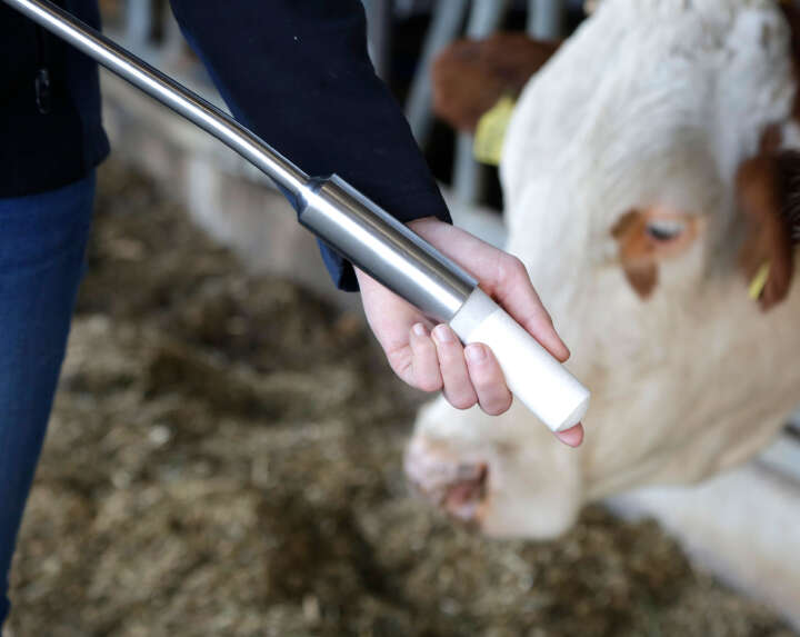 Agrochemica Calzogol Bolus